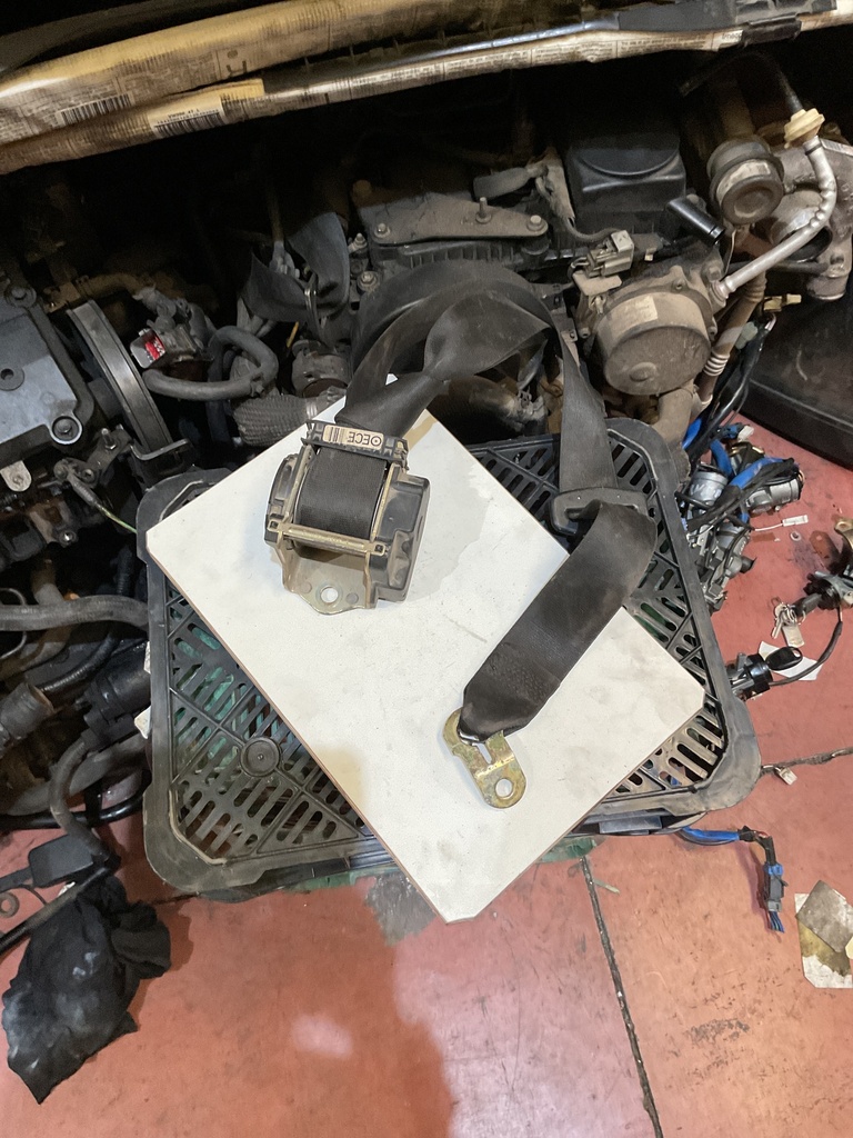 Cinturón seg. tras.izquierda BMW Serie 3 E46 '03