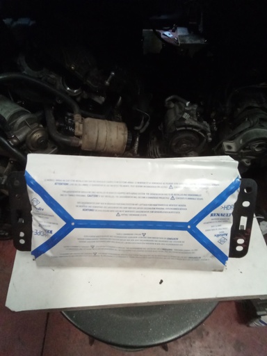 [8200293630 8200454743 8200706150 8200292043 8200230383] Airbag frontal Renault Scenic '04