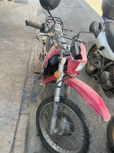 [G/ZS156FM1-2] 0115 ZEALSUN F2008 125cc 2006 8980FVP