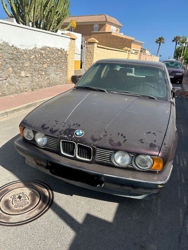 0165 BMW 524  2.4TD 1990 AL1651W